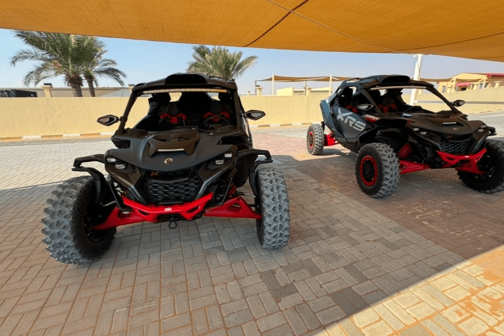 Dune Buggy Dubai Tours